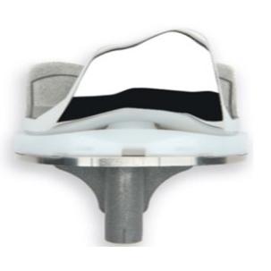 Травматология / Ортопедия